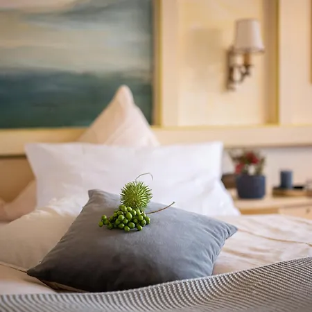 Wellnesshotel Birkenmoor Garni Scheidegg
