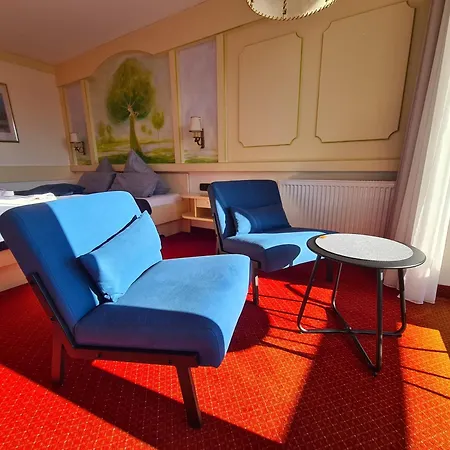 Hotel Wellnesshotel Birkenmoor Garni Scheidegg