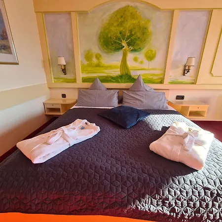 Wellnesshotel Birkenmoor Garni Scheidegg